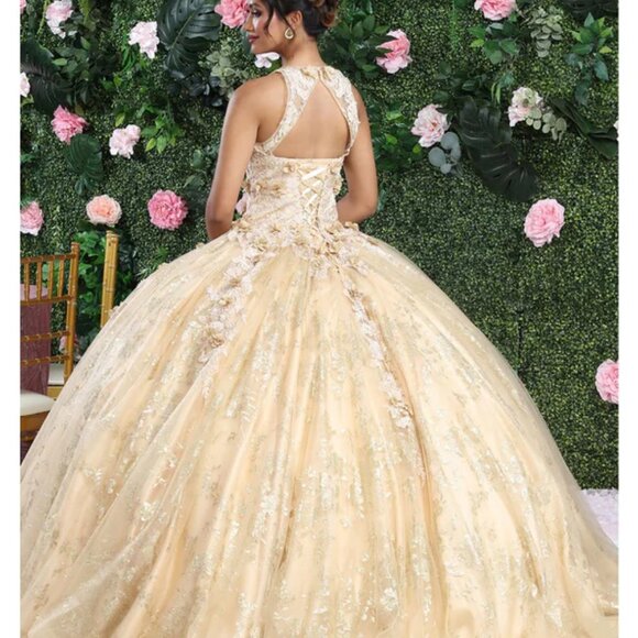 COPY - Formal Ball Gown.Prom Quinceanera Sweet 16 formal dress,gold,silver,pink - Picture 3 of 7